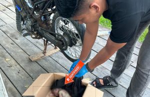 Jasad Bayi Laki-Laki yang Terapung di Dermaga Sungai Kandilo, Diduga Hasil Aborsi