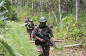 Persiapan Ke Papua, Yonif 614/RJP Laksanakan Latihan Berat di Malinau