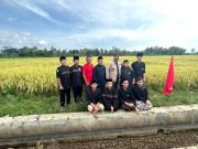 Mengalirnya Air, Tumbuhnya Asa: Buah Manis Transformasi Pertanian Kutai Kartanegara Di Kepemimpinan Edi Damansyah