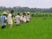 Kecamatan Muara Kaman Komitmen Menjadi Titik Sentral Agrikultur di Kalimantan Timur