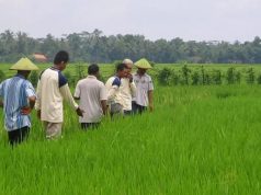 Kecamatan Muara Kaman Komitmen Menjadi Titik Sentral Agrikultur di Kalimantan Timur