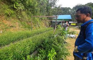 Sinergitas Desa Purwajaya dan PT ABK Dalam Pengembangan Pertanian dan Peternakan