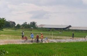 700 Miliar Digelontorkan untuk Pengembangan Sektor Pertanian di Kukar