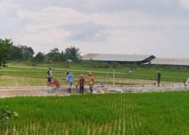 WhatsApp Image 2024-05-12 at 05.21.10